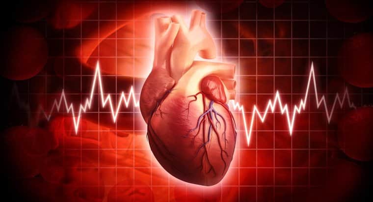 چگونه نمک دریایی ام.سی2 می تواند برای عروق و تنظیم ضربان قلب مفید باشد؟ چگونه نمک دریایی ام.سی2 می تواند برای عروق و تنظیم ضربان قلب مفید باشد؟