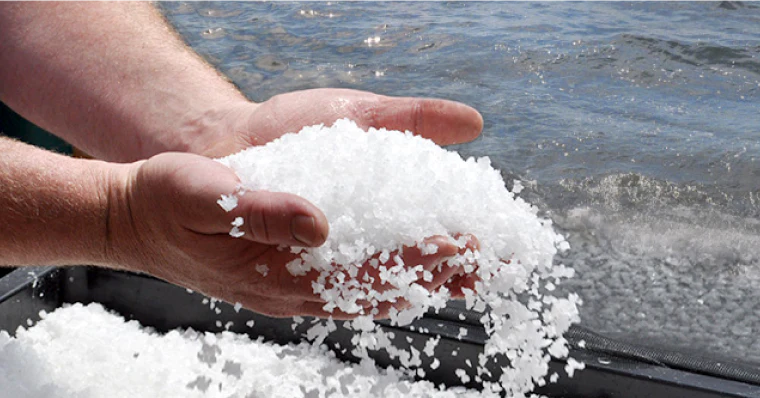 نمک دریا